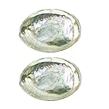 2 bunte modische große Abalone-Schalen, 10,2 - 11,4 cm, exquisite...