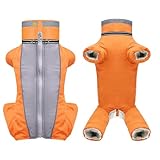 Hundejacke Hundemantel Wasserdicht Fleece gefüttert Warme Winterjacke...
