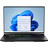MEDION ERAZER Beast X40 43,2cm (17 Zoll 240Hz) QHD+ Gaming Laptop (Intel...