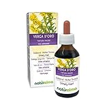Goldrute (Solidago virgaurea) Kraut mit Blüten Alkoholfreier Urtinktur...