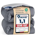 BEDSURE Bettdecke 135x200 Ganzjahresdecke Steppdecke - Bettdecke Ohne Bezug...