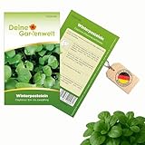 Winterpostelein Winterportulak Samen - Claytonia perfoliata - Portulaksamen...