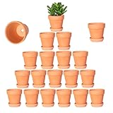 Nursery pots 20 Stück 8 cm Terrakotta-Töpfe mit Untertasse, Kaktus...