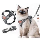 LUOJINYI Verstellbares Katzengeschirr mit Leine Ausbruchsicher, Katze...