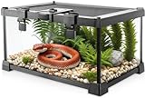 NEPTONION Mini-Reptilien-Glas-Terrarium, 30,5 x 20,3 x 15,2 cm,...