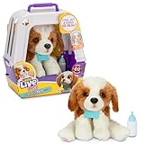 Little Live Pets My Really Real Puppy – Patches; Interaktiver Welpe; 60+...