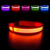 MASBRILL Hundehalsband Leuchtend USB Aufladbar Wasserdichtes LED...