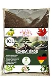 Bonsai Erde 10 Liter - Premium Hausmischung für Bonsai - Optimale...