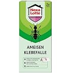 Nexa Lotte Ameisen Klebefalle, 2 Stück, Effektive Ameisenbekämpfung mit...