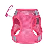Reflektierendes Hundegeschirr | Reflektierendes Geschirr Vest Mit Seilset...