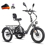 Fafrees F20 Mate Dreirad e Bike, 2025 E-Bike 3 Rad 48V 23.45Ah Akku,...