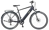 Prophete Entdecker 2.0 Trekking E-Bike 28 Zoll - 360 Wh - Integrierter Akku...