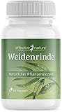 Weidenrinde-Kapseln - 60 Kapseln für 2 Monate - 200 mg Weidenrindenextrakt...