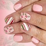 24 Stück Styropor betrügerische Hufe Urlaubsplan Rose gefüttert...