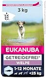 Eukanuba Welpenfutter getreidefrei mit Fisch für kleine und mittelgroße...