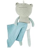 Bieco Frosch Kuscheltier mit Schmusetuch | 30 cm | Frosch Plüschtier |...