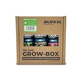 BUDXXL 3-in-1 Grow-Dünger-Set - Wachstum, Bloom, Blüte Booster - Made in...