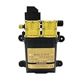 125 psi DC 12 V 9 l/min landwirtschaftliche Wasserpumpe Dual-Power-Pumpe...