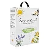 Sonnenstund Weissburgunder halbtrocken 3 Liter Wein-Box, feinfruchtiger...