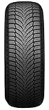 Nexen WINGUARD SNOW G 3 WH21 205/55R16 91H Winterreifen