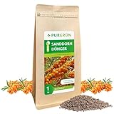 Purgrün Bio-Sanddorn-Dünger 1 kg