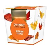 pajoma® Duftkerze, Autumn Leaves - im satinierten Glas | 120g...