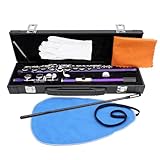 Professionelle horizontale Flöte mit Beutel Reinigungstuchstab, 16-Loch C...