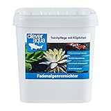 CleverAqua Fadenalgenvernichter mit Aktivsauerstoff effektives Algenmittel...
