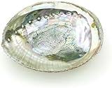 Natürliche Abalone-Muschel, Räucherstäbchenhalter, Bunt, 10,2-11,4 cm,...