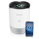 Brandson - Luftreiniger Allergiker - CADR 158 m³/h 45 m² - Air Purifier -...