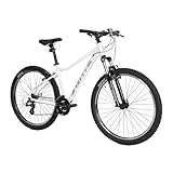 ATTABO Damen Fahrrad Alpe 1.0 mit Aluminiumrahmen 17' Ergonomischer Lenker...