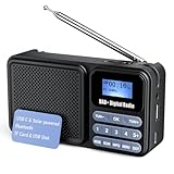 Gallypek tragbares DAB Radio, DAB plus Radio FM Radio mit Bluetooth 5.0& 40...