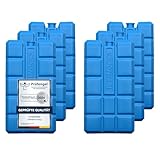 VonBueren 2-24 Kühlakkus für Kühltasche 12h Lange Kühlung | ca. 200 g...