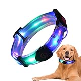 NUDGE LED-Lichthalsband für Hunde, wiederaufladbar, wasserdicht,...