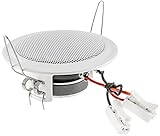 ChiliTec Einbaulautsprecher Deckenlautsprecher 45W flach Einbau Decke Wand...
