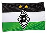 Borussia Mönchengladbach Hiss-Fahne 'Logo' | Offizieller Fanartikel...