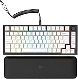 Glorious Gaming GMMK PRO 75% – Modulares mechanisches Gaming-Keyboard,...