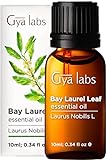 Gya Labs Ätherisches Lorbeerblattöl für trockenes Haar & Kopfhaut (10ml)...