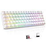 TECURS Gaming Tastatur - RGB Mechanische Tastatur Kabellos...