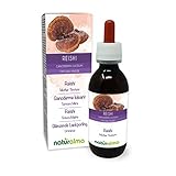 Glänzende Lackporling oder Reishi (Ganoderma lucidum) Pilz Alkoholfreier...