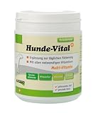 Anibio Hunde-Vital 420g Ergänzungsfutter für Hunde, 1er Pack (1 x 0.42...