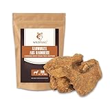 Wildfang® 1 Kauwurzel Hund (Größe M) – Natürliches Kauholz aus...