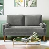 Meskanu Couch 2 Sitzer, 121 cm Samt Kleines Sofa mit 2 Wurfkissen, Modern...