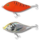 Robinson Angelköder für große Raubfische - Jerkbait Wobbler, Spinning...