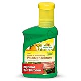 Neudorff Azet Zitrus- & Mediterran PflanzenDünger – 100% natürlicher...