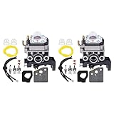 puissant 2X Vergaserkit für GX25 GX25N GX25NT GX35 FG110 FG110K1 HHT35...