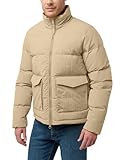 Jack Wolfskin Herren Nordlicht Jkt M Daunenjacke, Anis, L EU