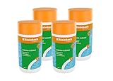Steinbach Poolpflege Algezid flüssig – 0753501TS04 – 4x1 L –...