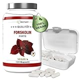 Forskolin Extrakt - 120 Kapseln - 4 Monatsvorrat - inclusive Pillenbox -...