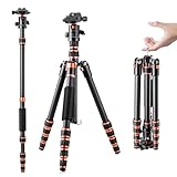 K&F Concept 152cm Carbon Stativ, Leichtes Tripod, Flexibles Kamera Stativ...